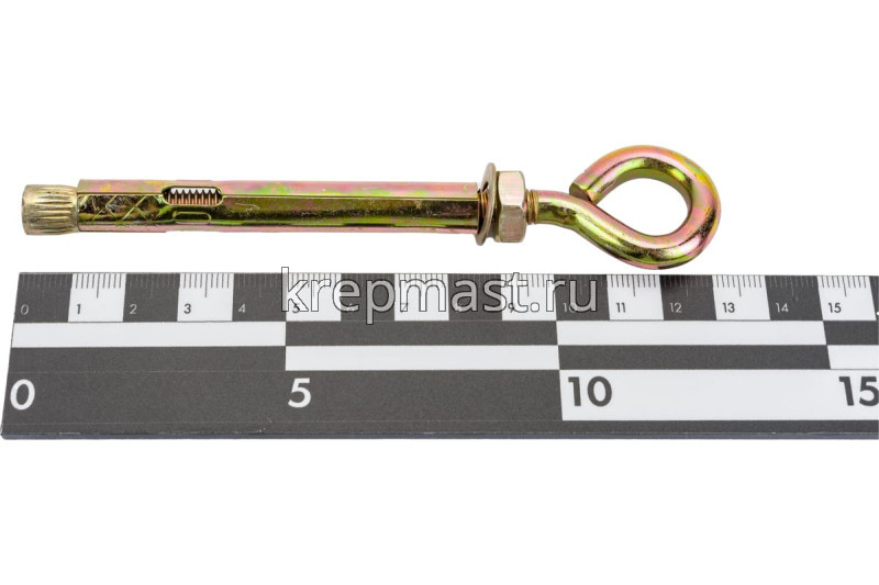 Анкерный болт с кольцом 10х100