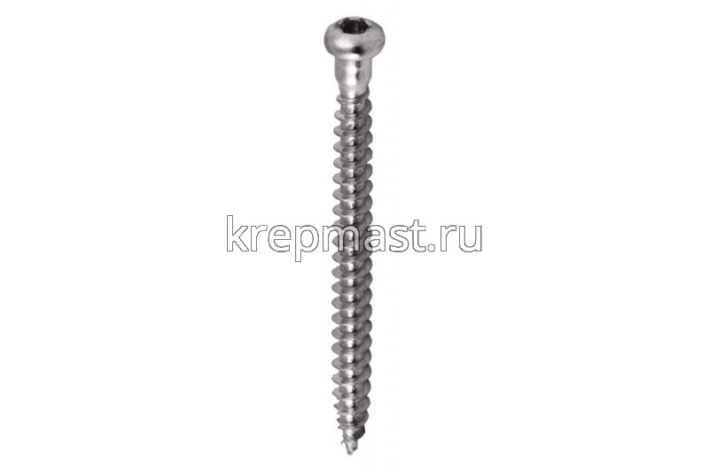 Шуруп ТХ п/сферическая головка 5х50