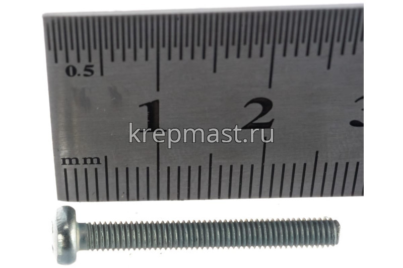Винт п/цил 3,0х25 DIN 7985