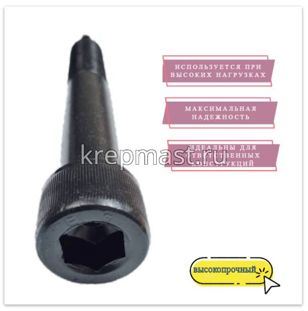 Винт с внутр.шестигранником 24 х 160 черный кл.пр.12,9 н/р DIN 912