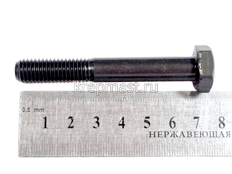 Болт 10х 70 кл.пр.10,9 черный н/р DIN 931