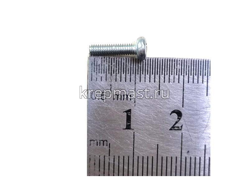 Винт п/цил 2,5х10 DIN 7985