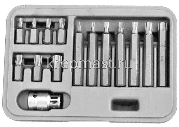Набор ЗУБР бит TORX 15предметов