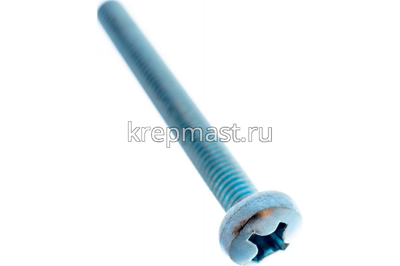 Винт п/цил 6,0х55 DIN 7985