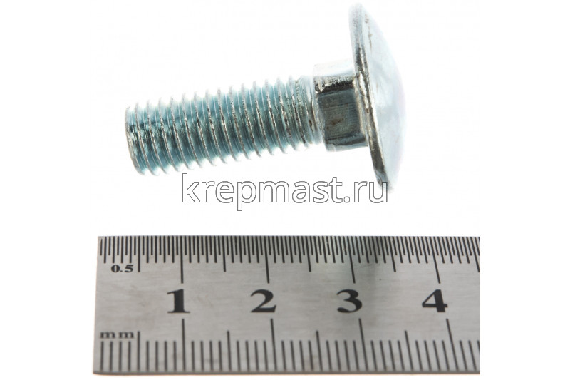 Болт мебельный 10х 30 DIN 603